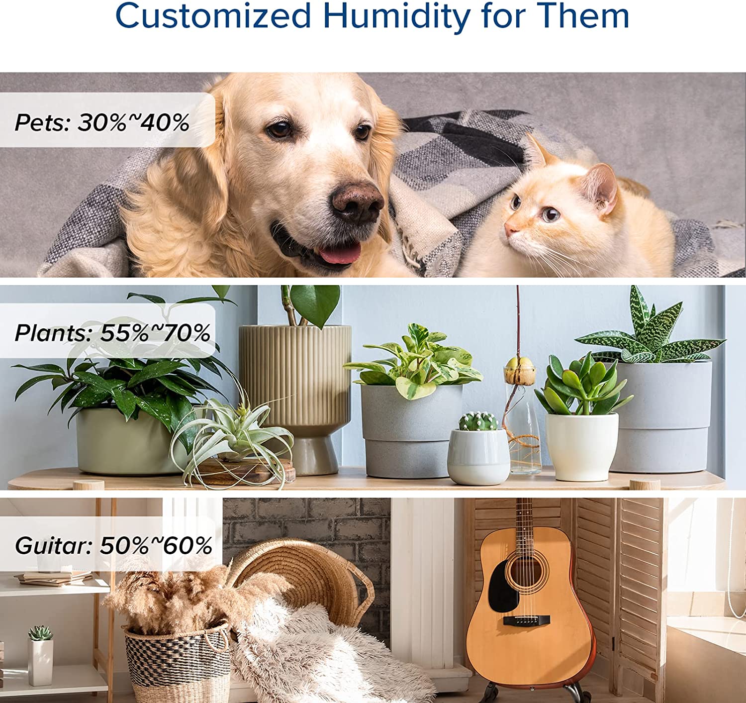 Humidifiers for Bedroom Large Room 6L Warm and Cool Mist for Families Plants with Built-in Humidity Sensor