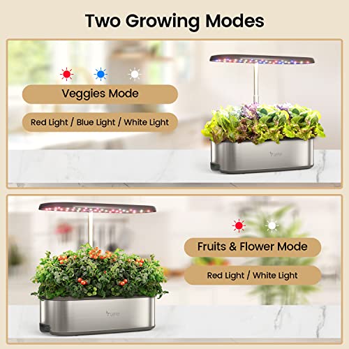 LetPot LPH-SE Hydroponics Growing System, 12 Pods Smart Herb Garden Kit Indoor